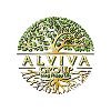 ALVIVA GROUP