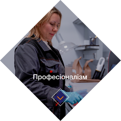 Професіоналізм