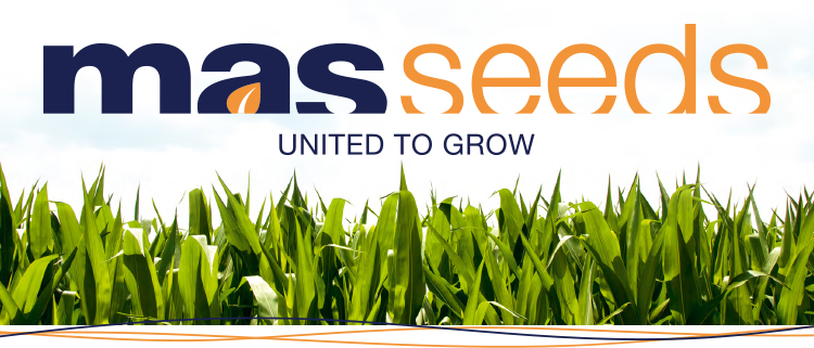 MAS Seeds — вакансия в Менеджер по логистике